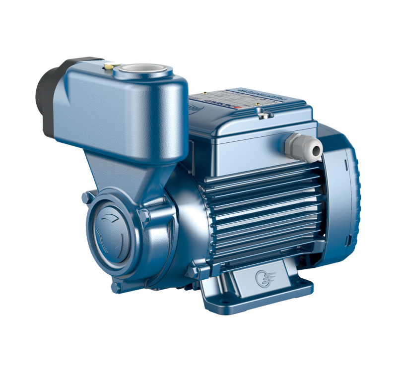 Ηλεκτραντλία Περιφερειακή Pedrollo PKSm 60 300W 220V με Αυτόματη Αναρρόφηση