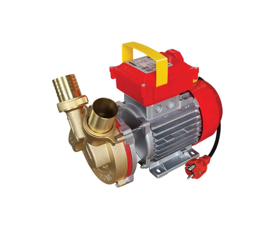 Ηλεκτραντλία Rover 40 CE 1Hp 220V 1450rpm