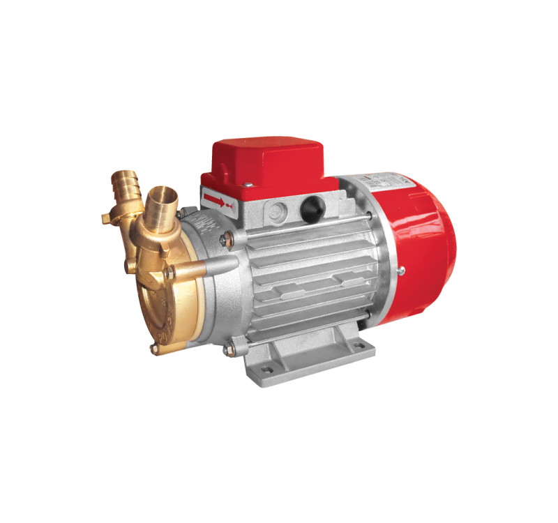 Ηλεκτραντλία Rover Marina 25-24V 0,60Hp 2850rpm 