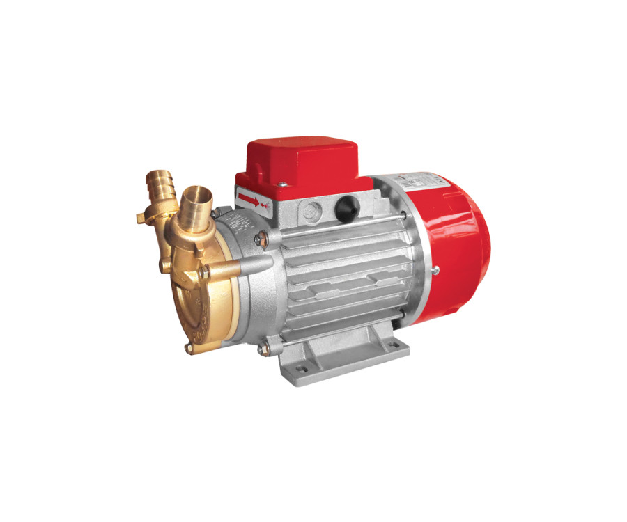 Ηλεκτραντλία Rover Marina 25-24V 0,60Hp 2850rpm 