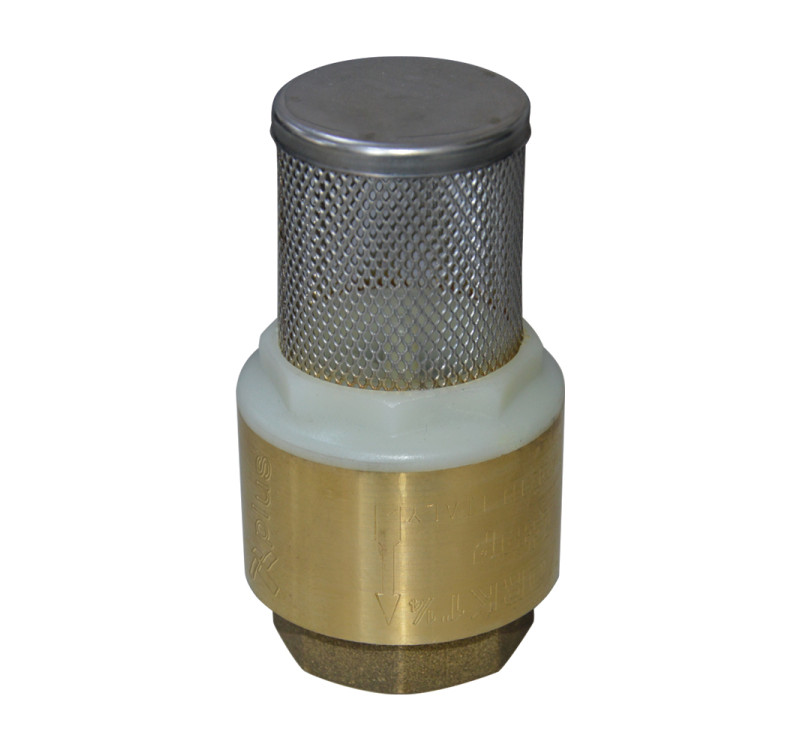 Ποτηρι pedrollo 2"