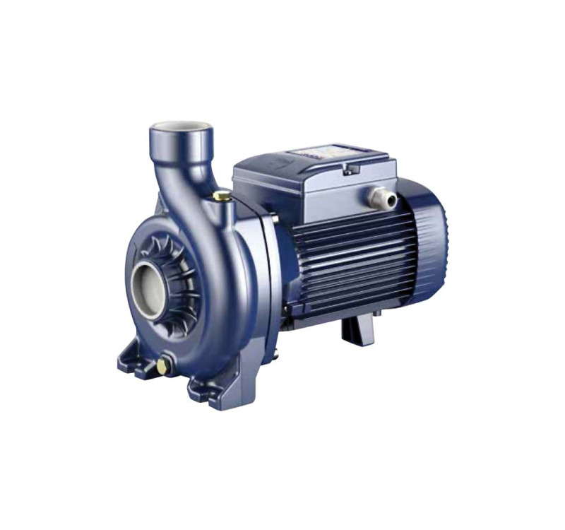 Ηλεκτραντλια pedrollo ngam 3a