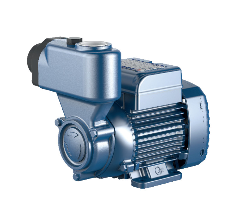 Ηλεκτραντλια pedrollo pksm 65