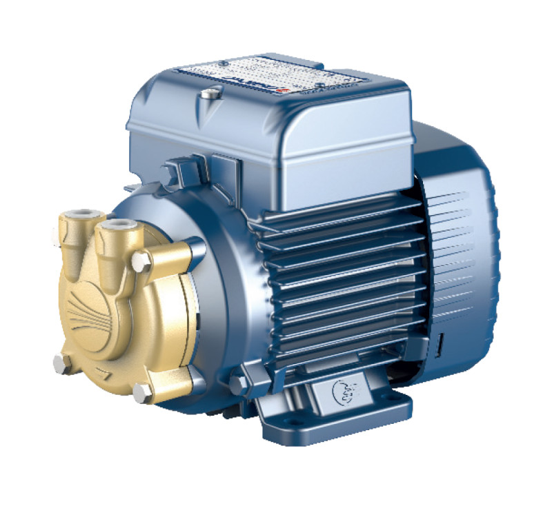 Ηλεκτραντλια pedrollo pv 81