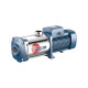 Ηλεκτραντλία Πολυβάθμια Pedrollo FCRm 200/6 Ανοξείδωτη 3Hp 220V Χαμηλού Θορύβου