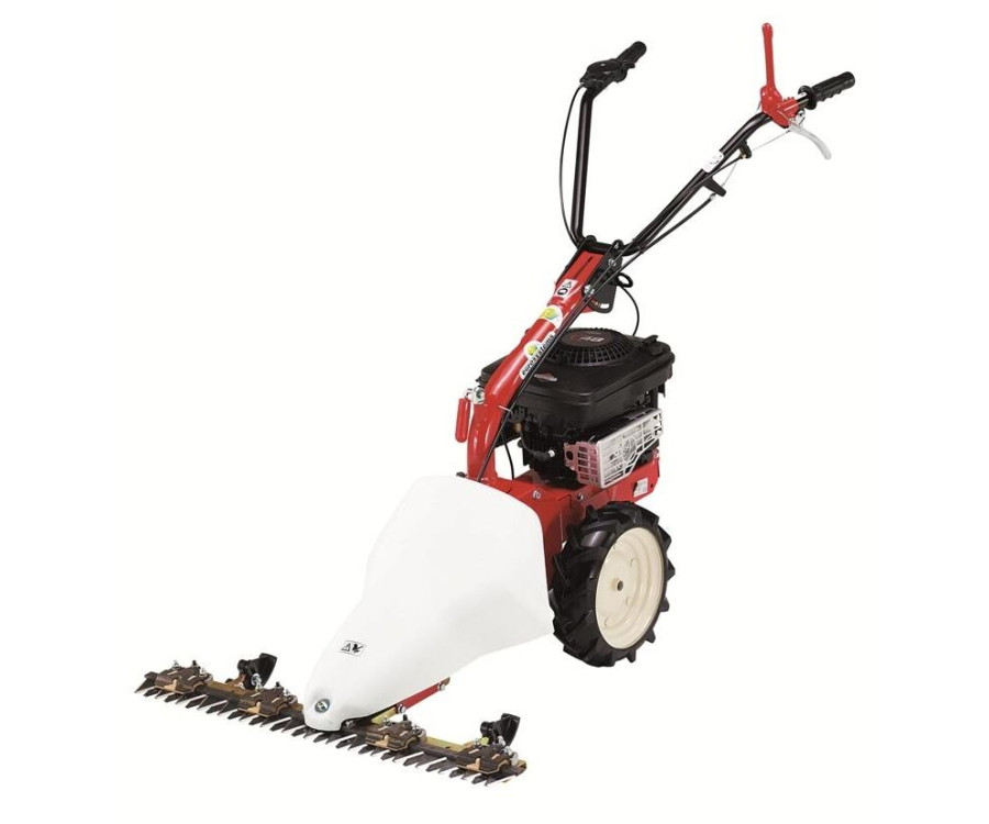 Χορτοκοπτικό EUROSYSTEMS BILAMA M210 Briggs n' Stratton Βενζίνης 150cc 87cm